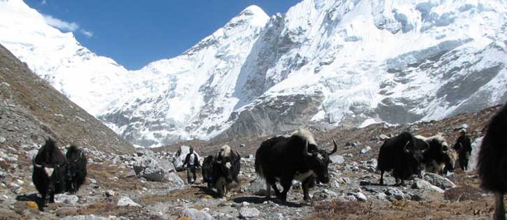 Chulu east peak climbing with annapurna circuit trek 